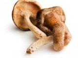 shiitake mushrooms
